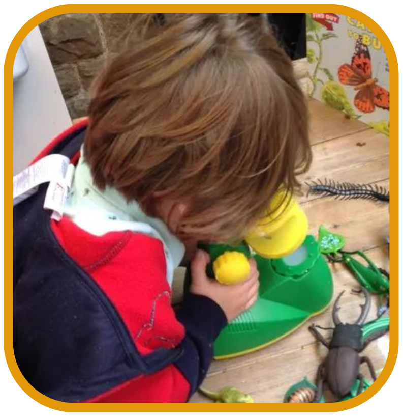 A young boy is looking through a microscope surrounded by toy insects