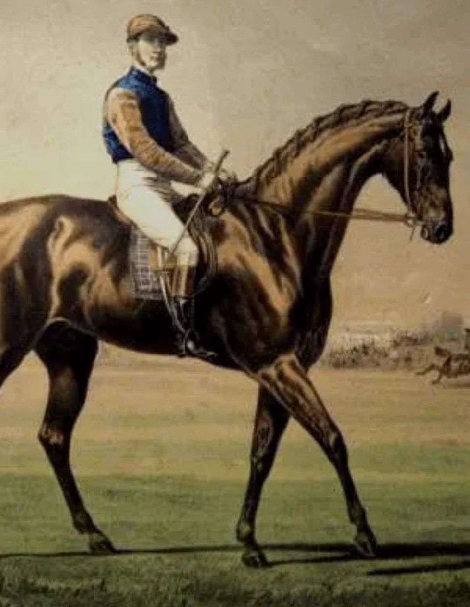 stampe inglesi esclusive