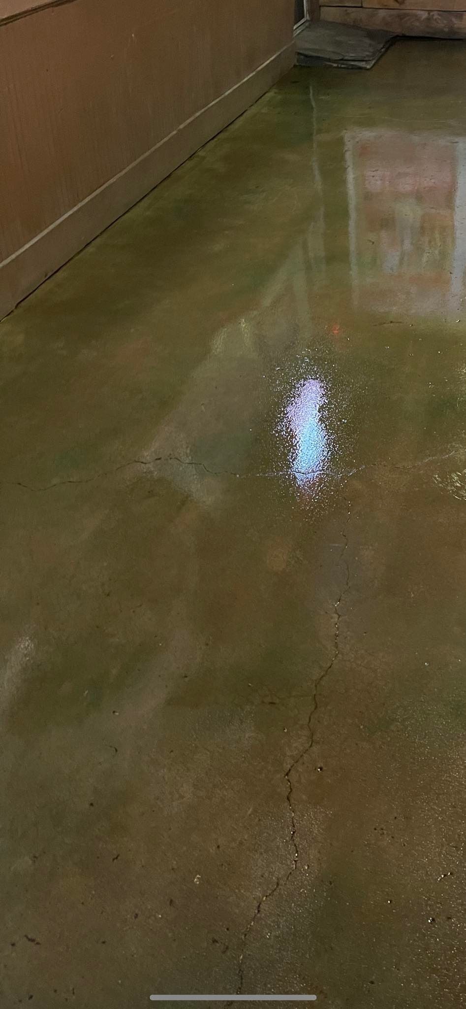 commercial concrete flooring