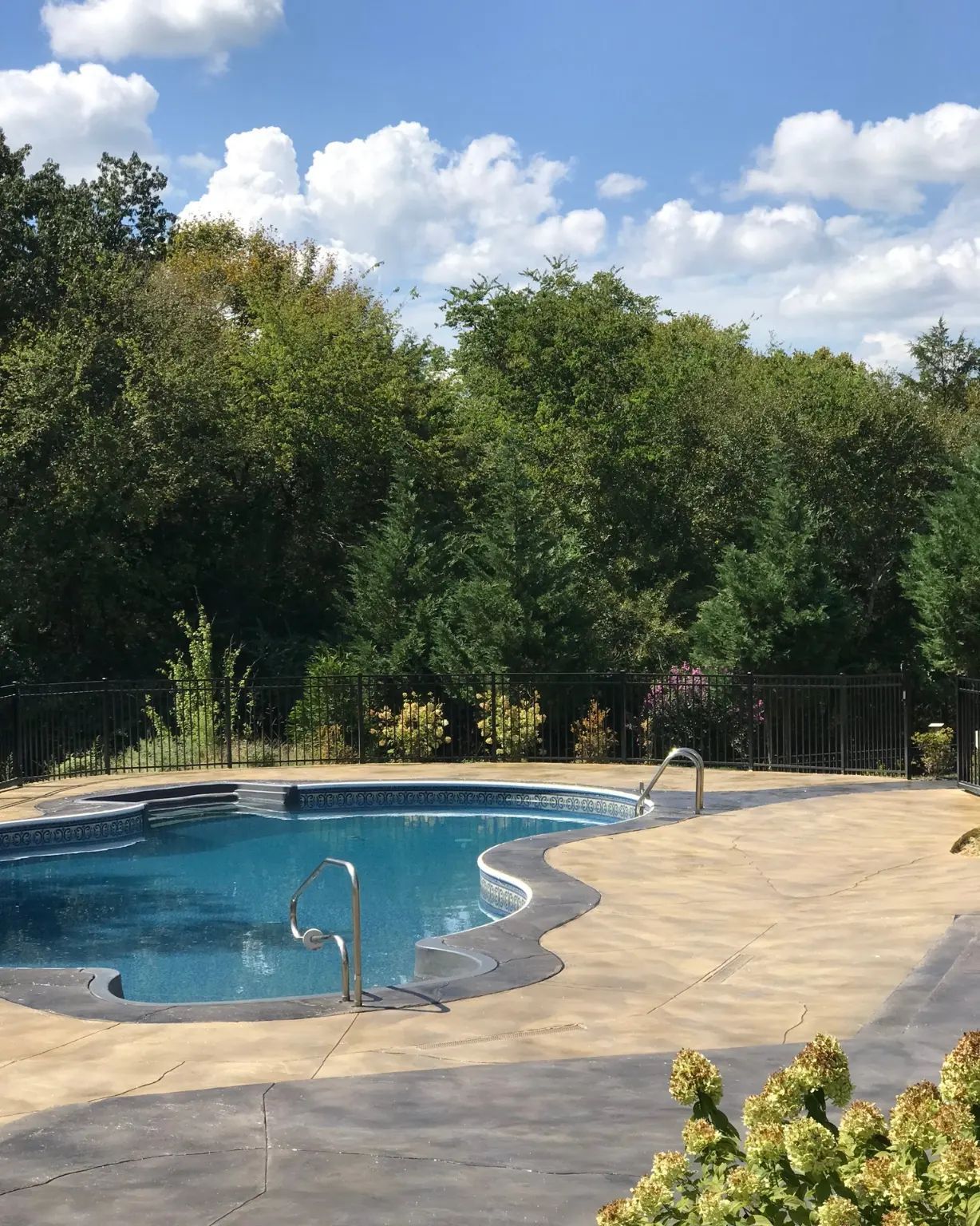 custom concrete pool deck