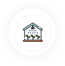 Delavida Organics