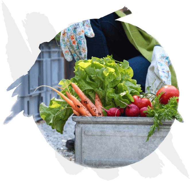 Delavida Organics