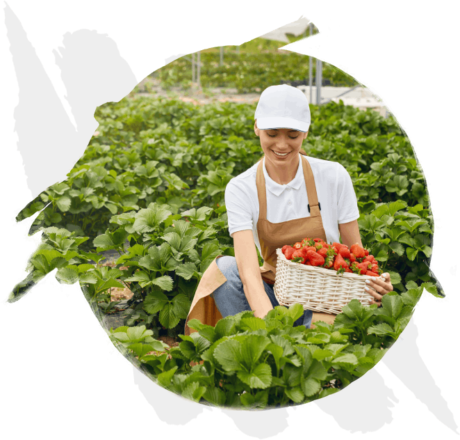 Delavida Organics