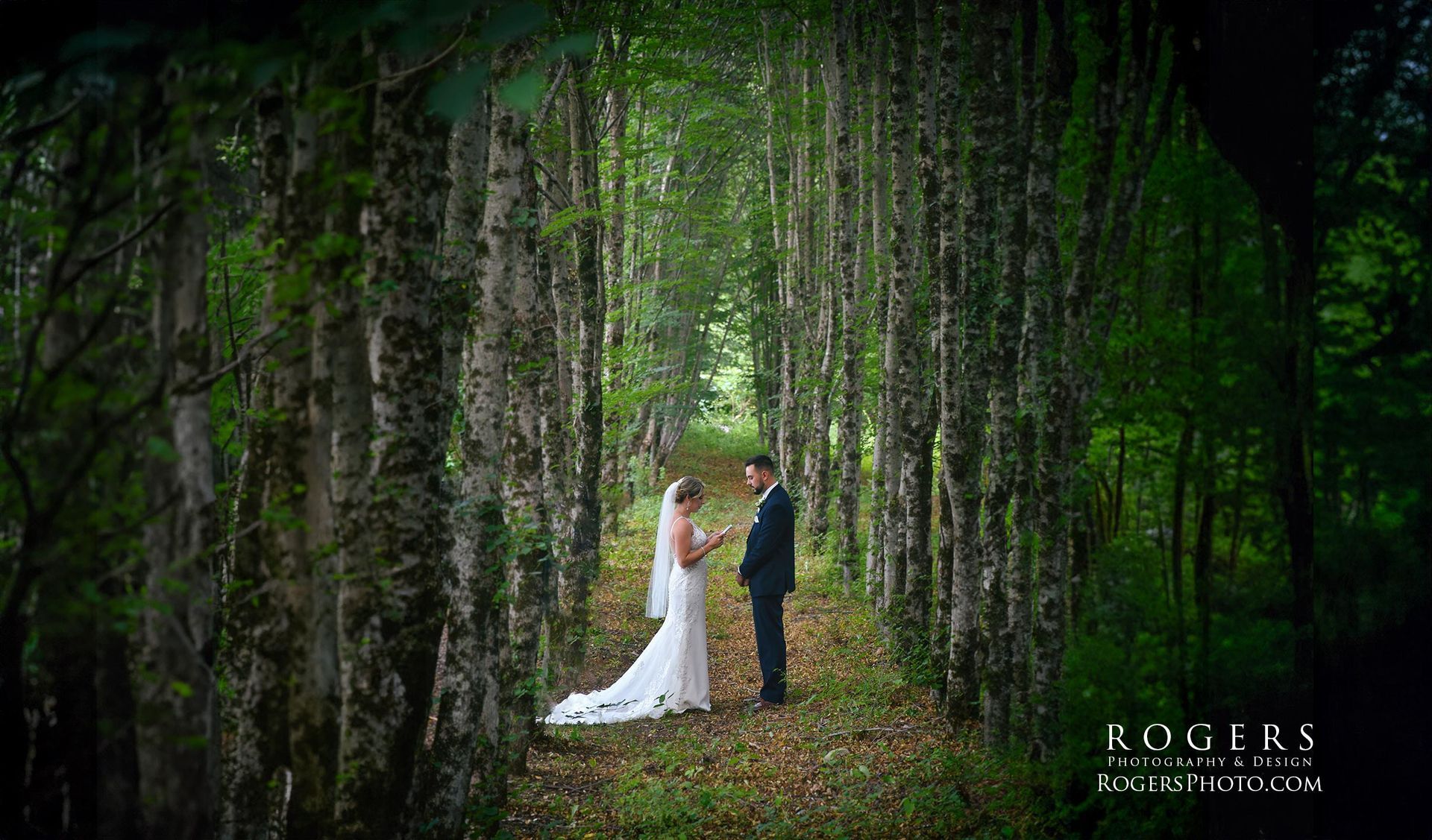 A bride and groom are standing in the middle of a forest at Stonehurst at Hampton Valley wedding photographed by Rogers Photography in Connecticut. 