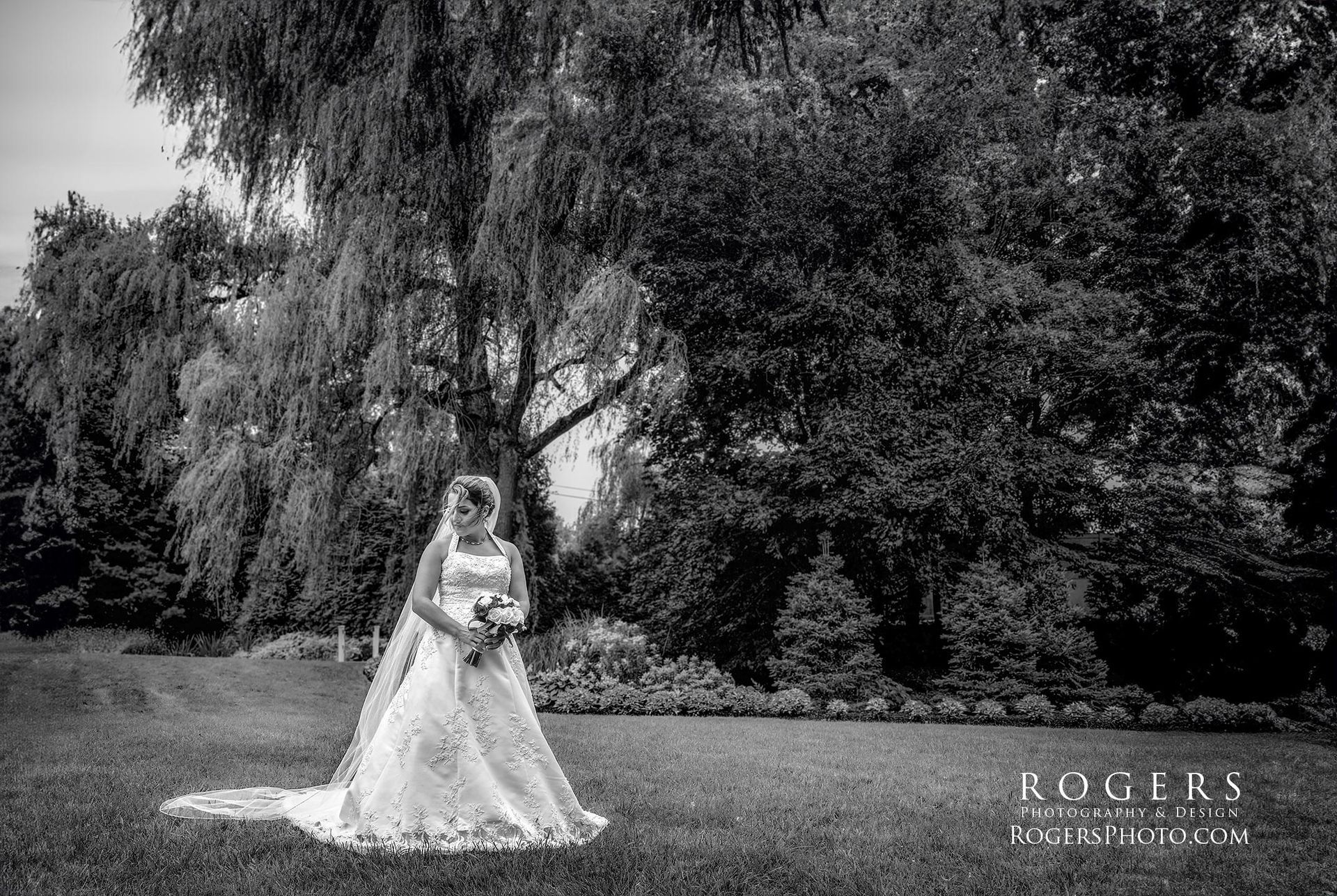 A black and white photo of a bride in a wedding dress standing in front of a tree at Woodwinds wedding photographed by Rogers Photography in Connecticut. 
