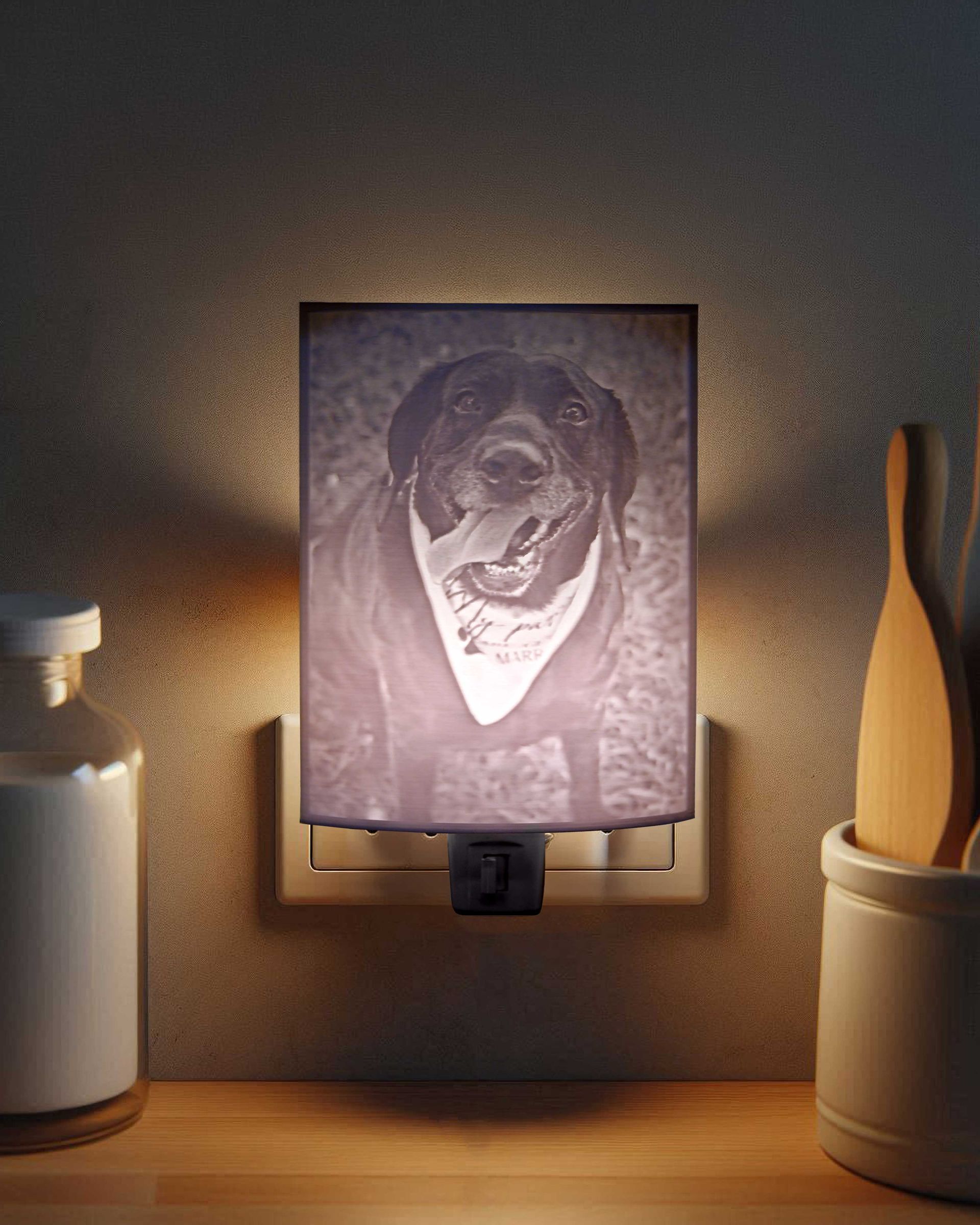 Dog portrait on a lit wall plaque between two candle-like lamps in a dim room