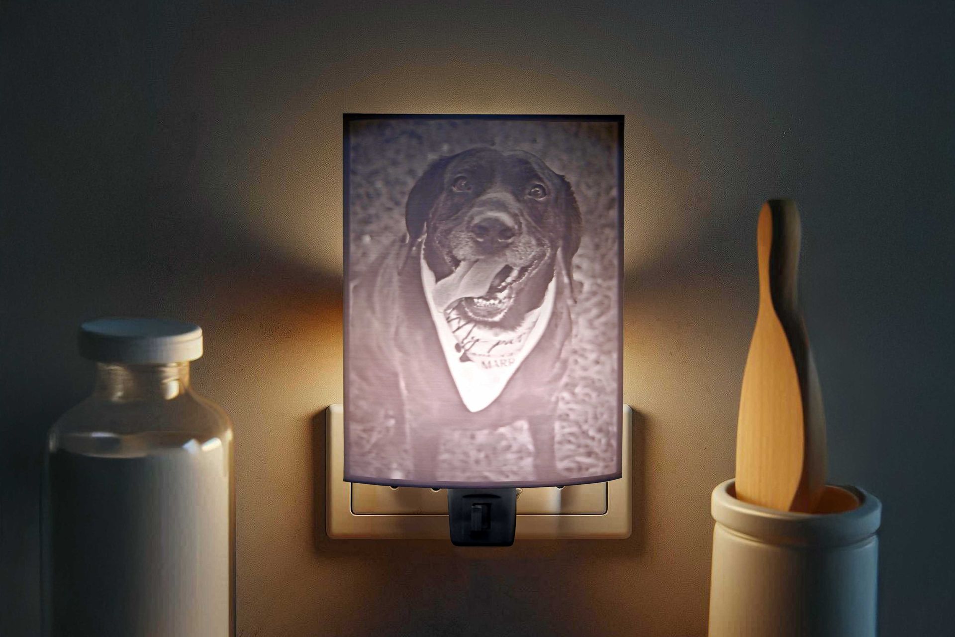 Nightlight with a dog portrait between a bottle and a wooden brush on a shelf.
