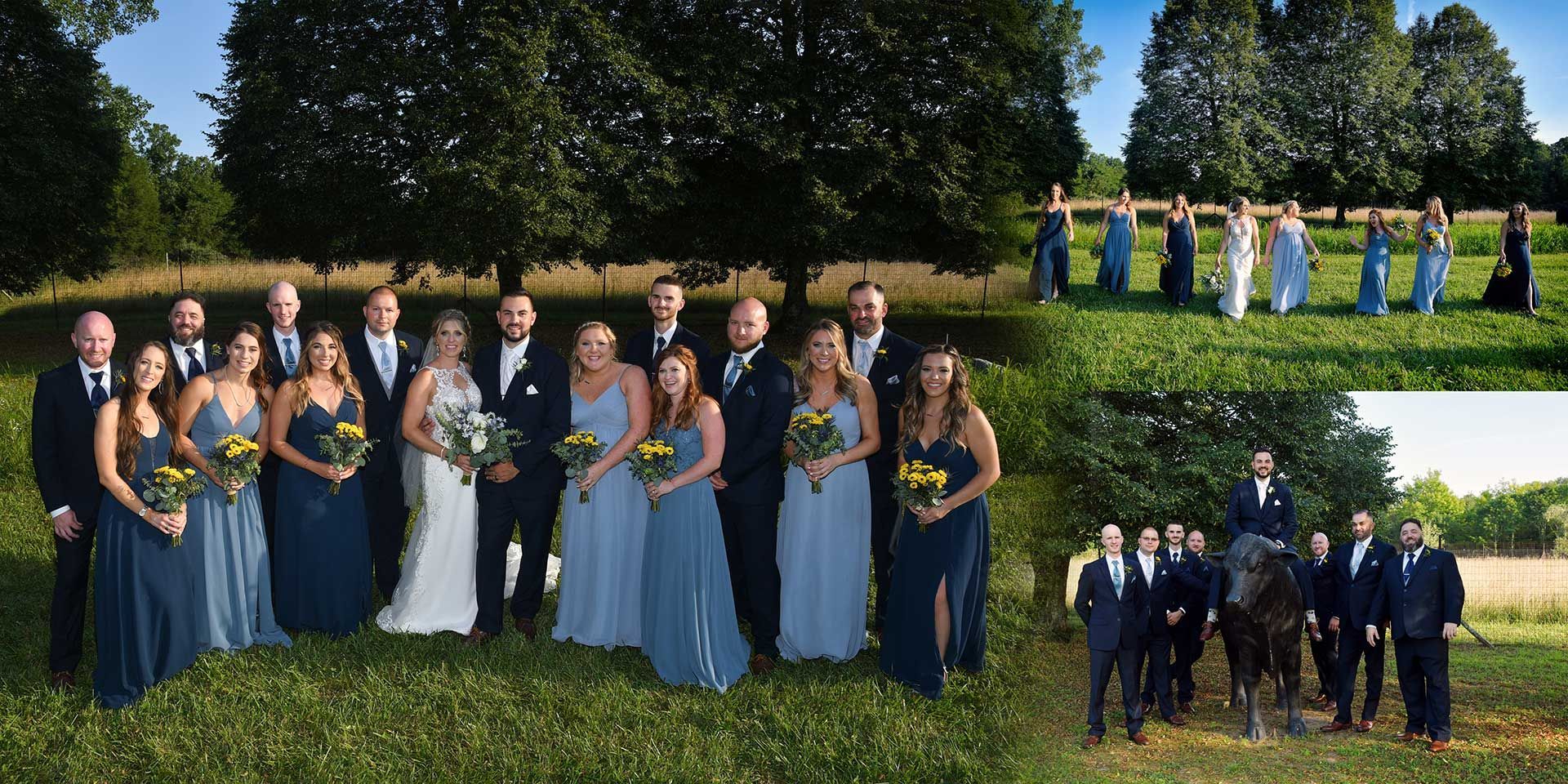 Wedding party posing outdoors in formal attire, with a bride and groom centered in the main photo and group portraits nearby