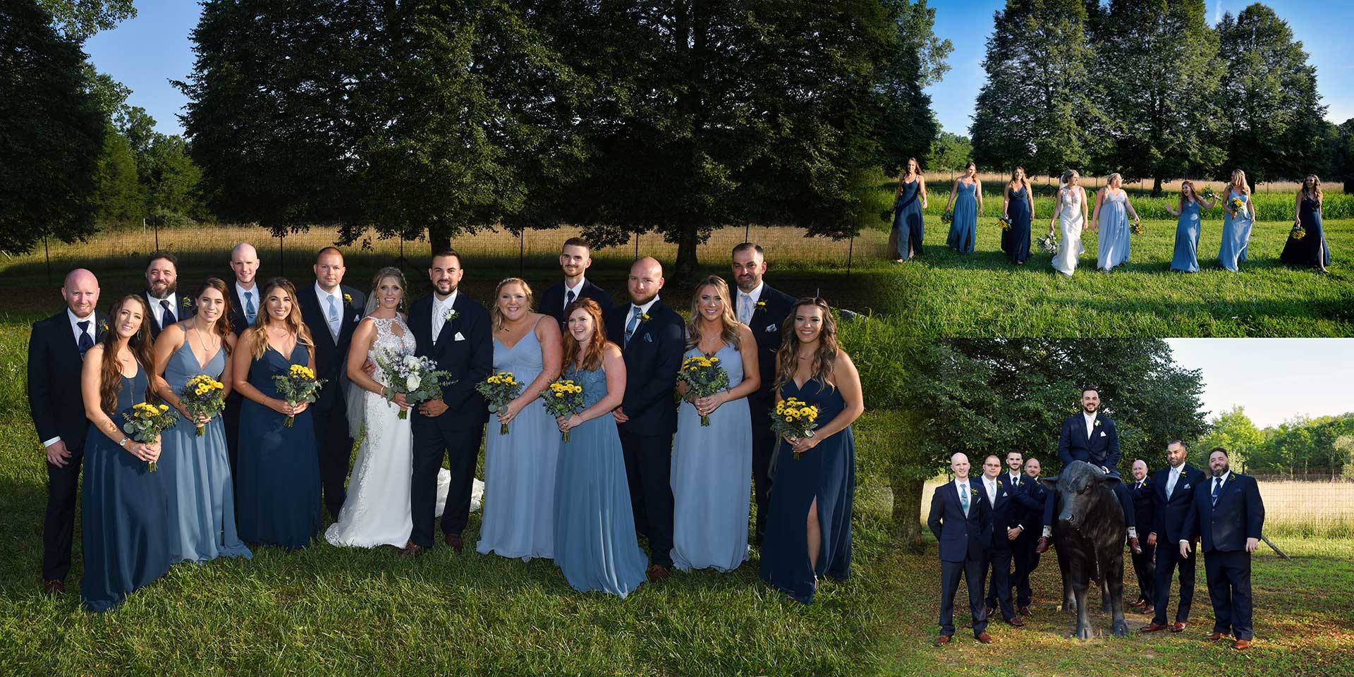 Wedding party posing outdoors in blue and black formal wear, with a smaller group portrait inset on the right for wedding 