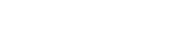 Logo White