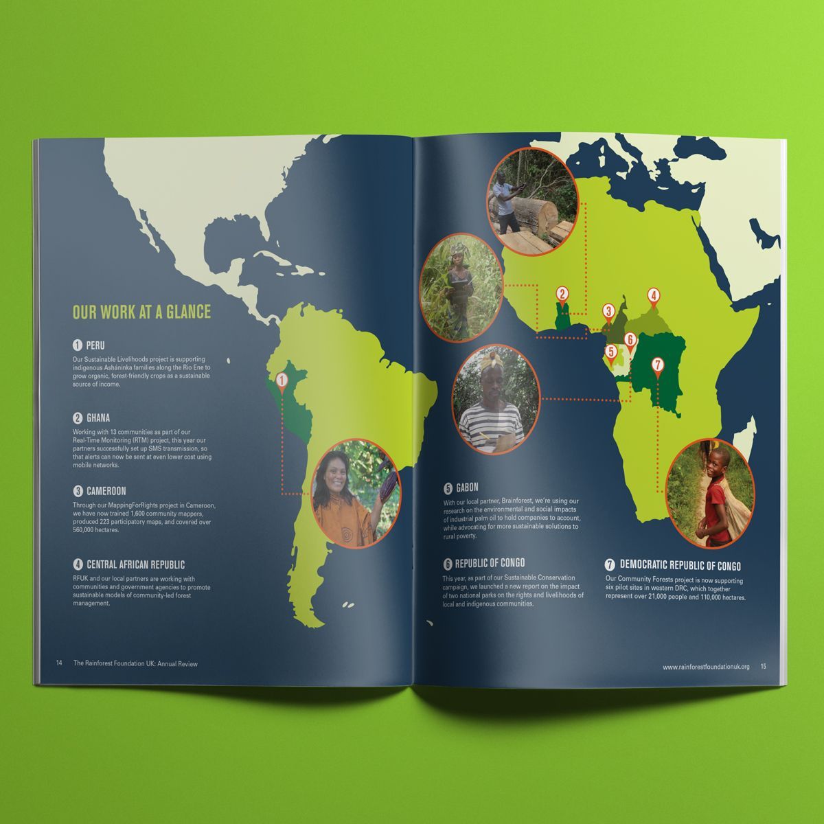 brochure-example-image