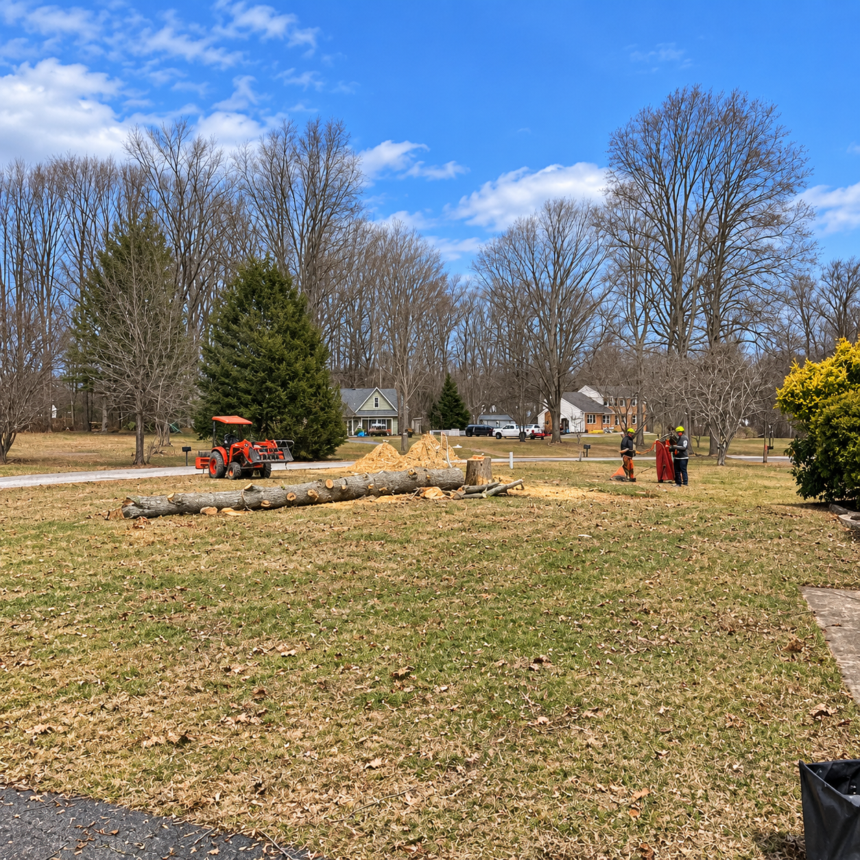 People with a small orange tractor clearing logs in a grassy park under a blue sky