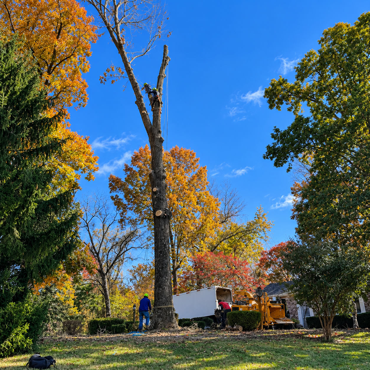Autumn park with tall trees, a blue sky, and a person near a white truck.