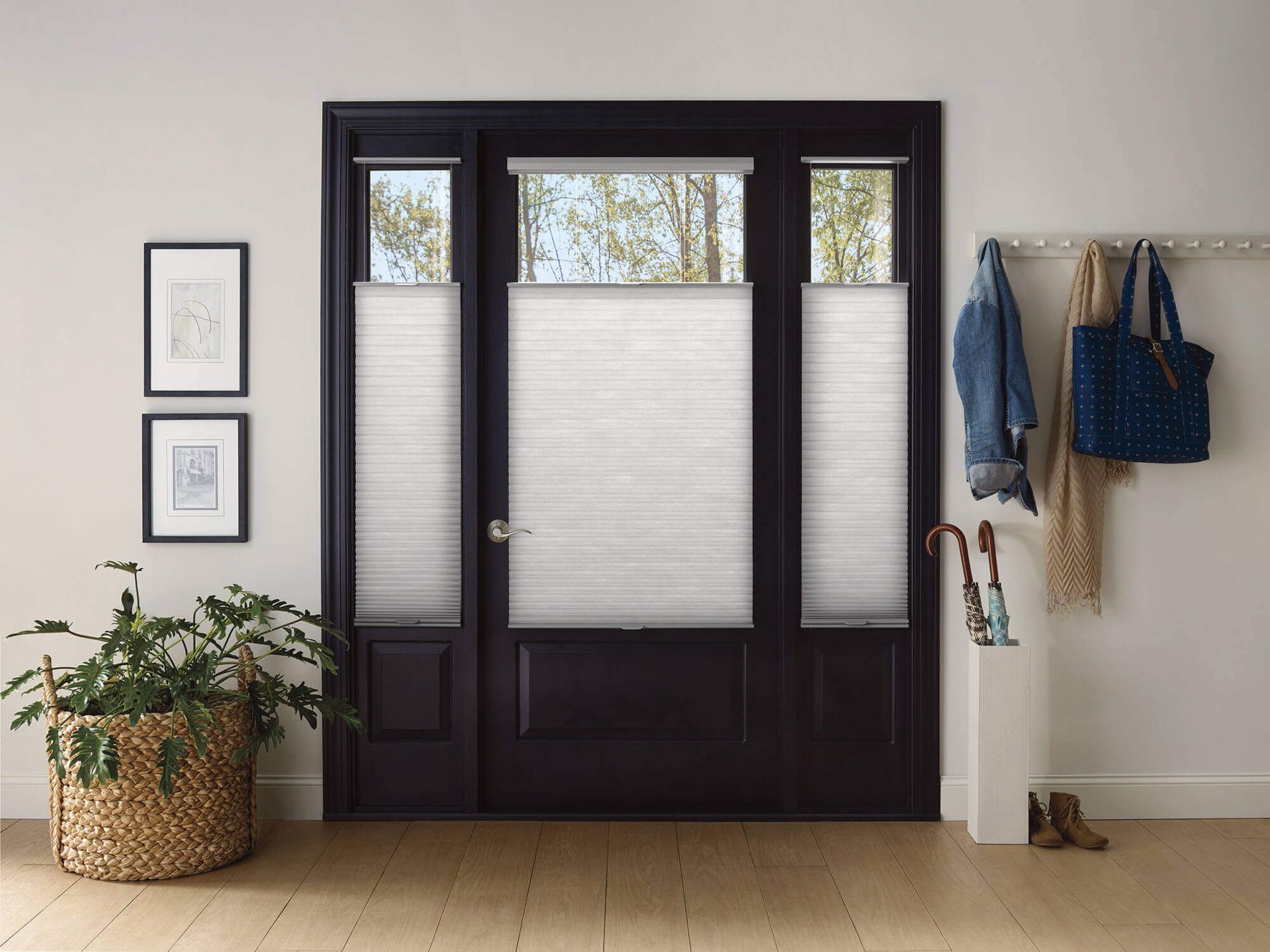 Black door with white blinds, side windows, coat rack, wicker plant basket, and pictures on wall.