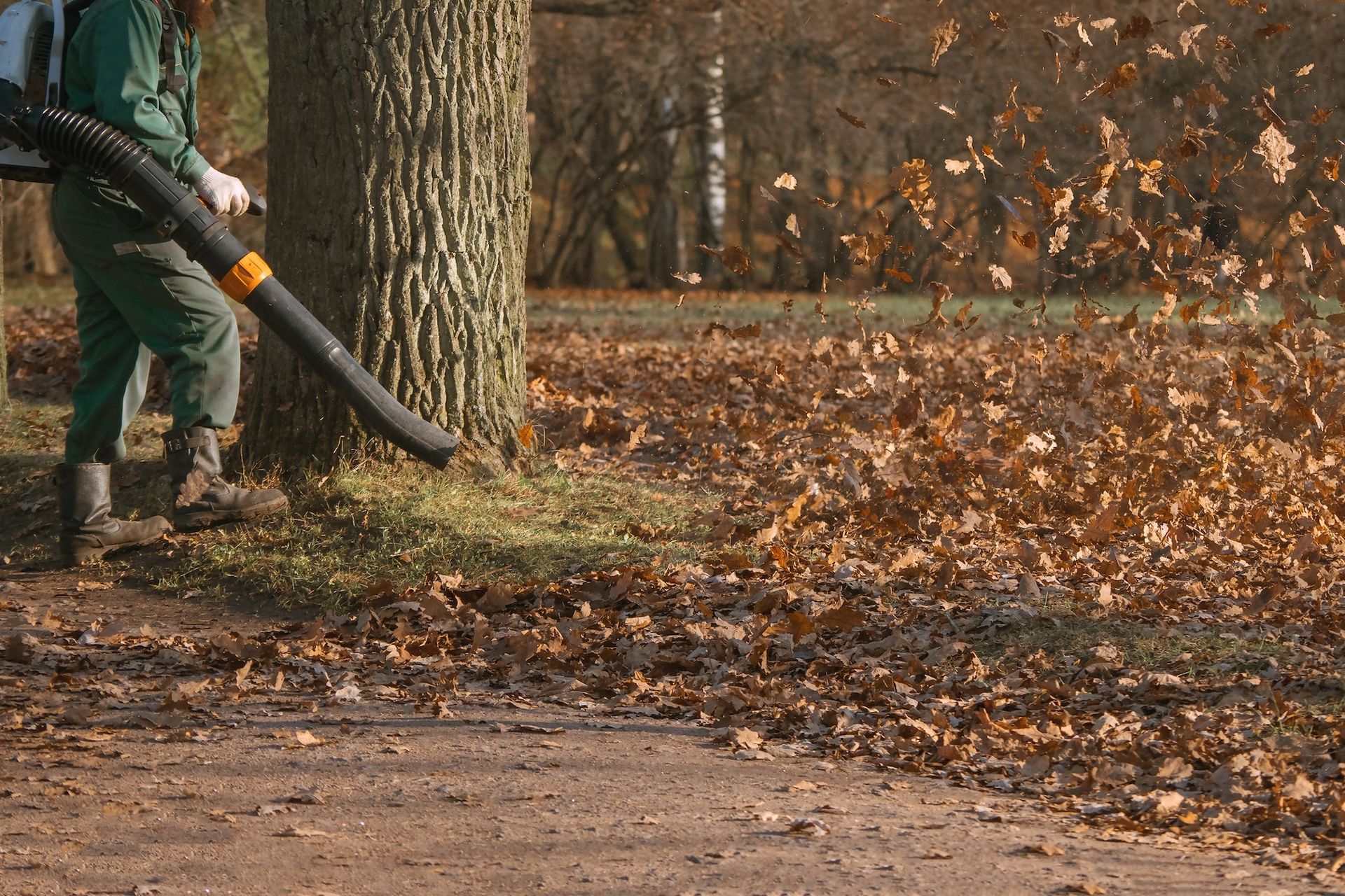 Person using a leaf blower to clear autumn leaves beside a tree in a park
