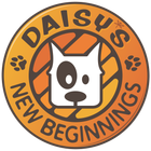Daisy's New Beginnings