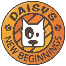 Daisy's New Beginnings