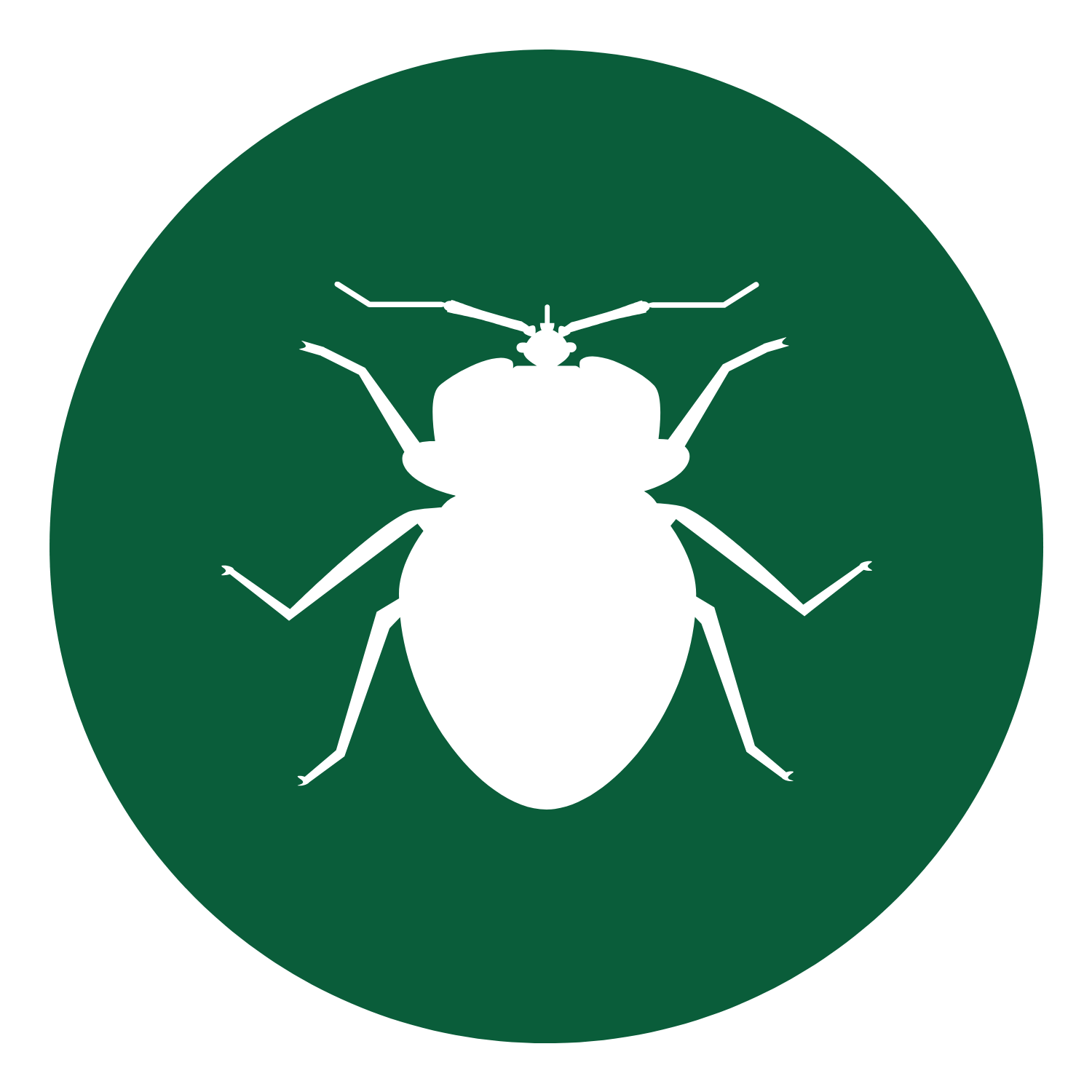 bed bug icon
