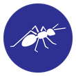 fire ant removal icon