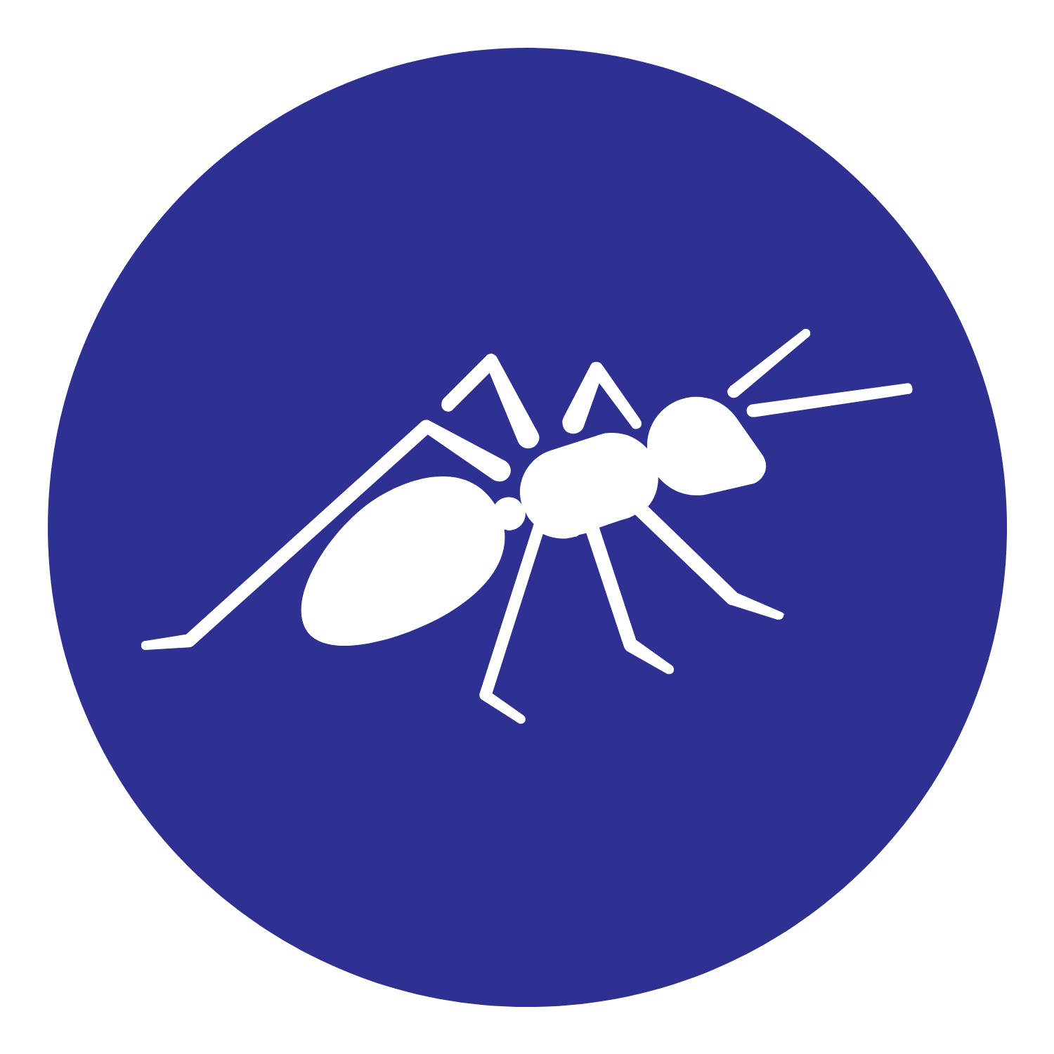 fire ant removal icon