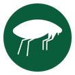 flea control icon