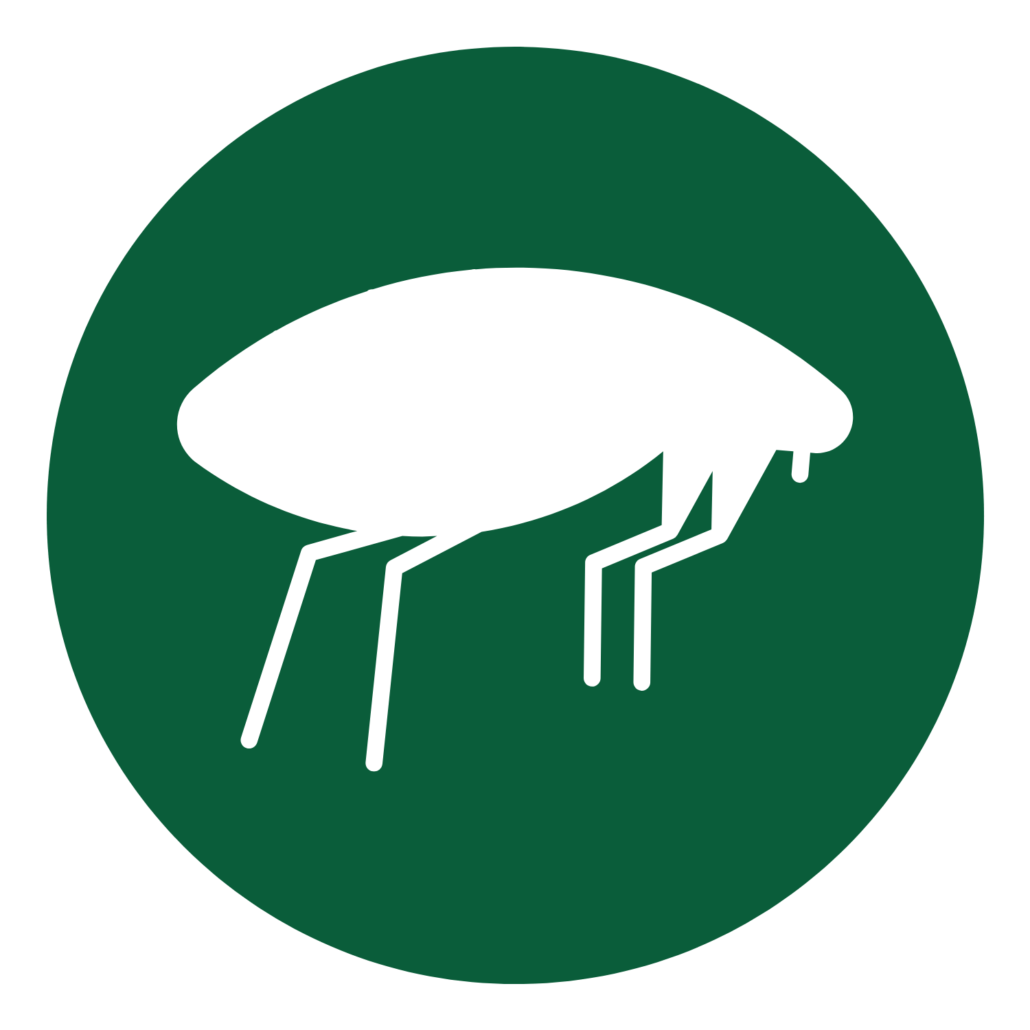 flea control icon