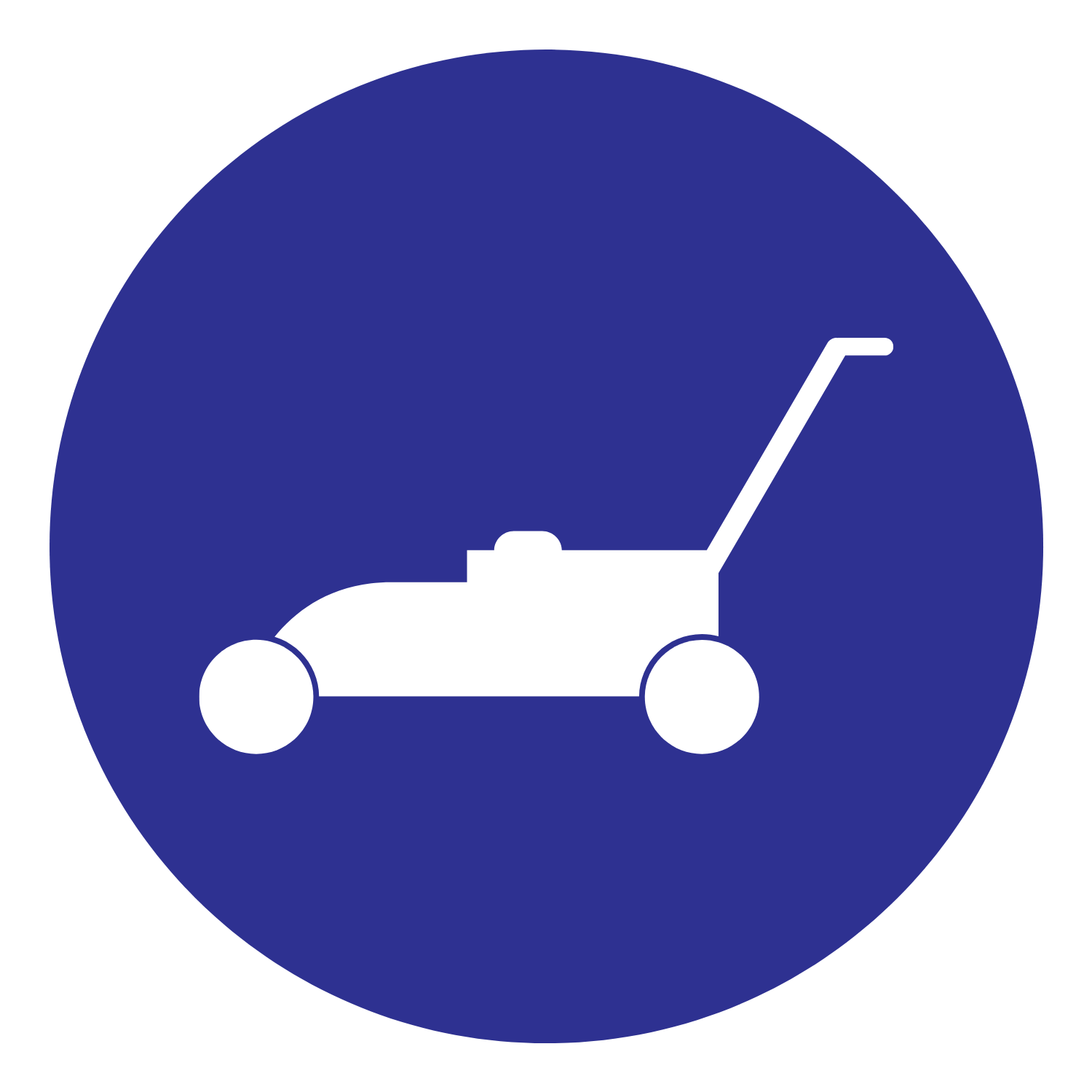 termite removal icon