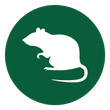 nuisance animal removal icon