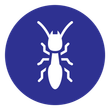 termite removal icon