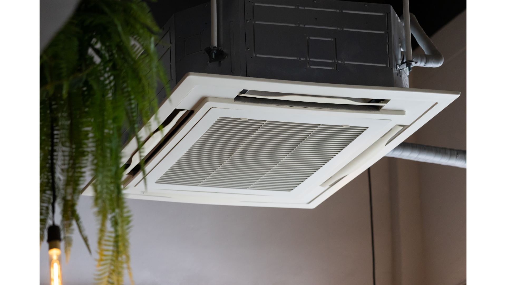 A ceiling mounted air conditioner with a plant hanging from it.