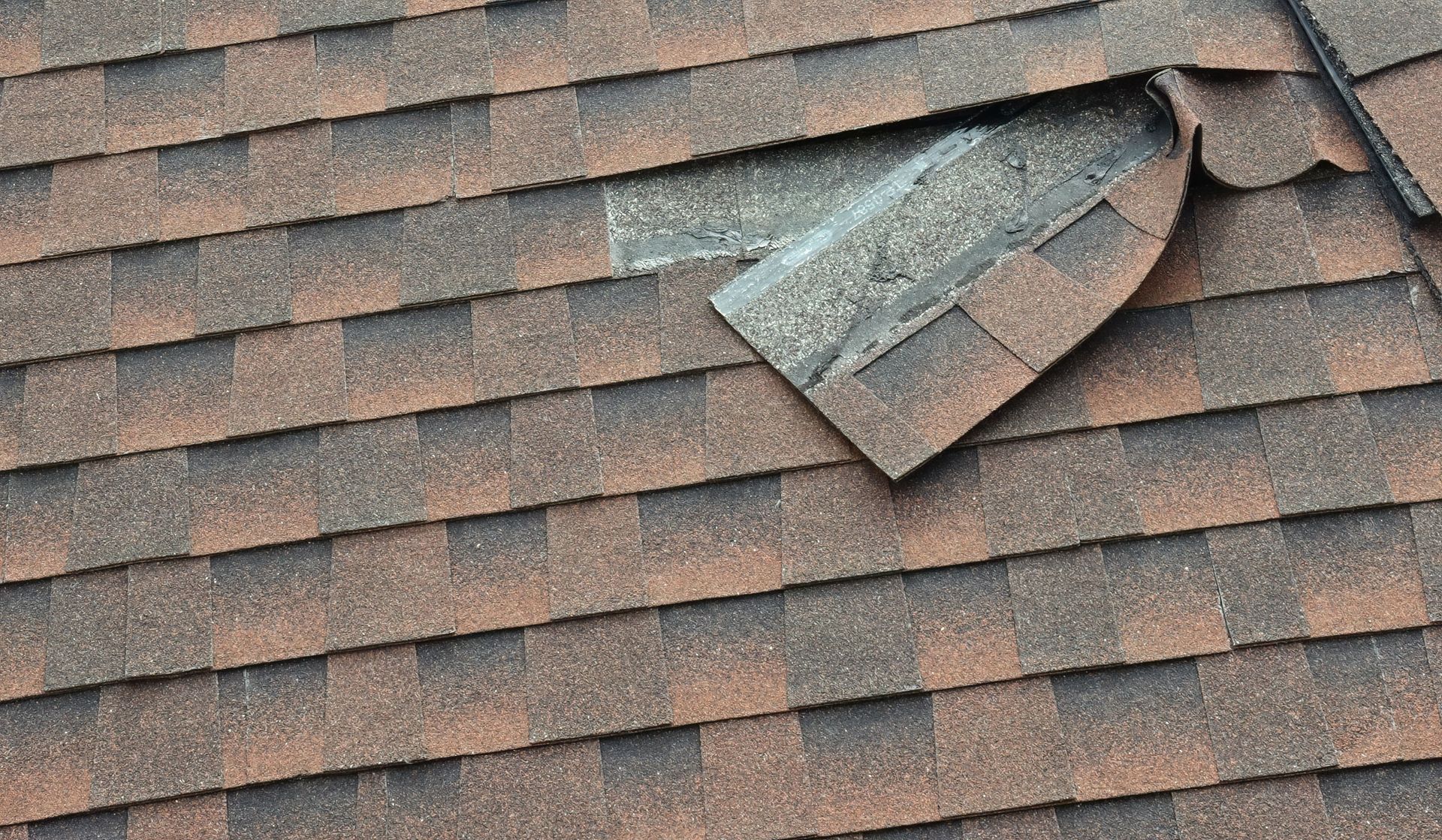 Damaged building with exposed wooden roof frame; metal roofing torn off.