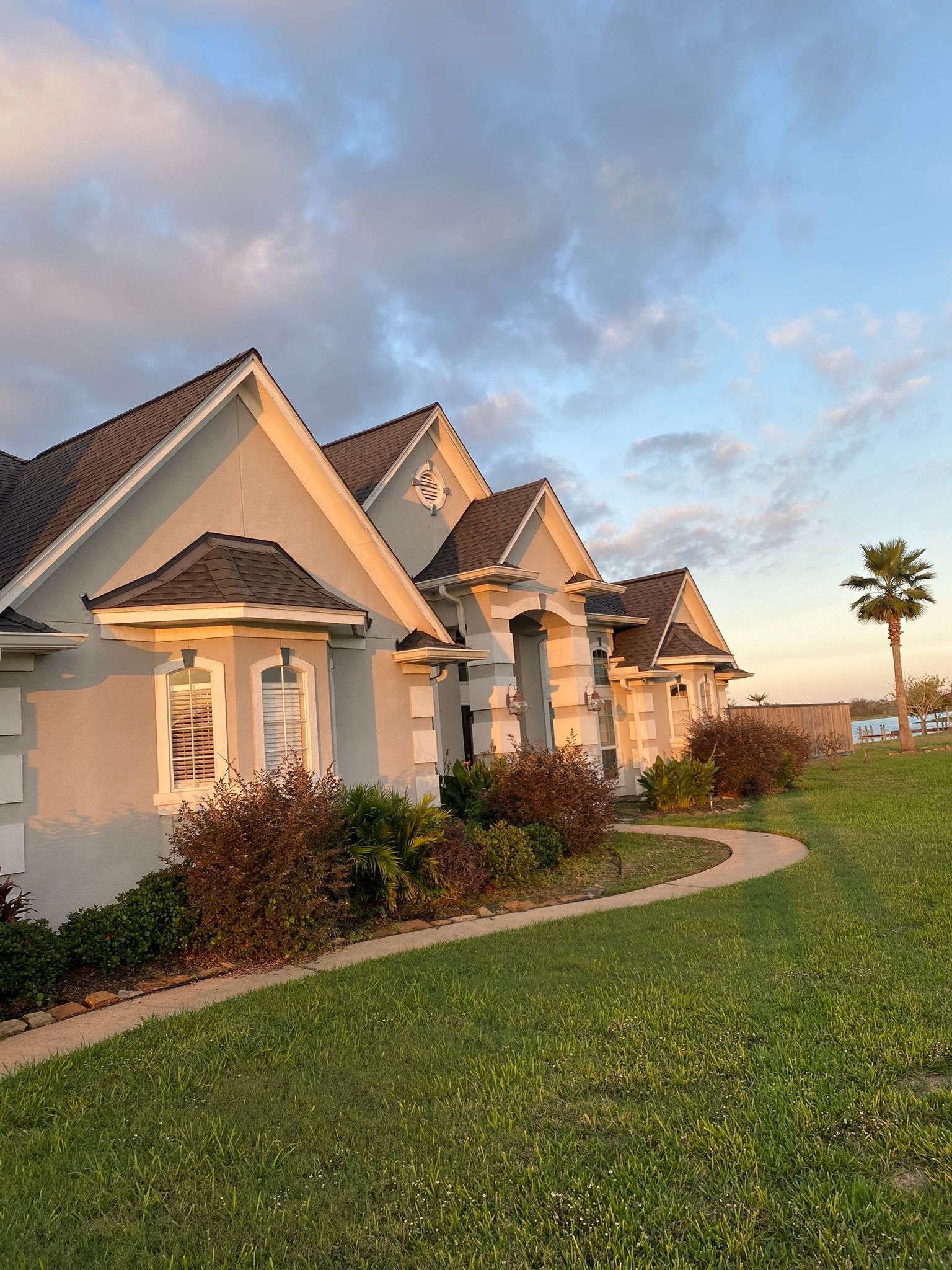 A row of white houses with a palm tree in the background.