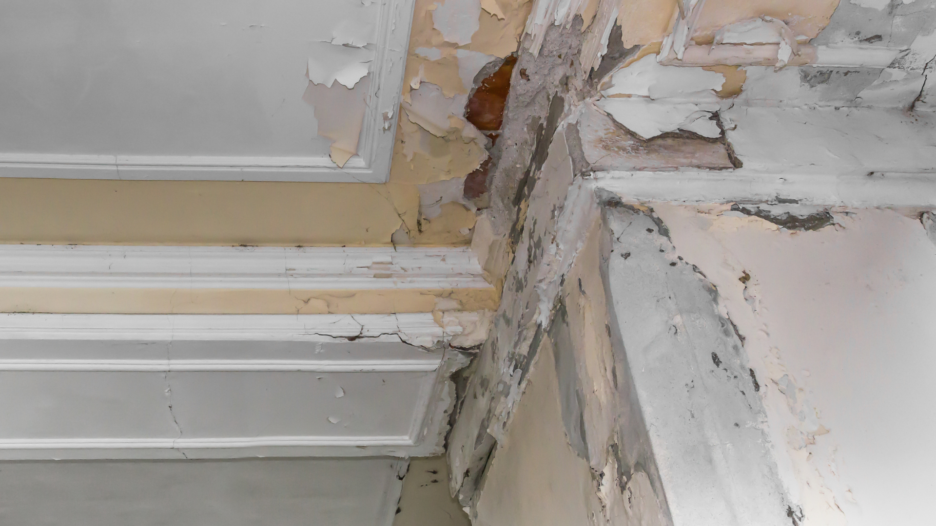humidity cracks in stucco wall close-up texture damage