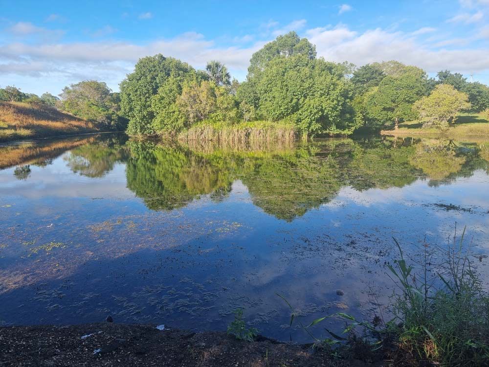 A Large Body of Water With Trees Reflected in It — Blue Gum Earthworks in Mareeba, QLD