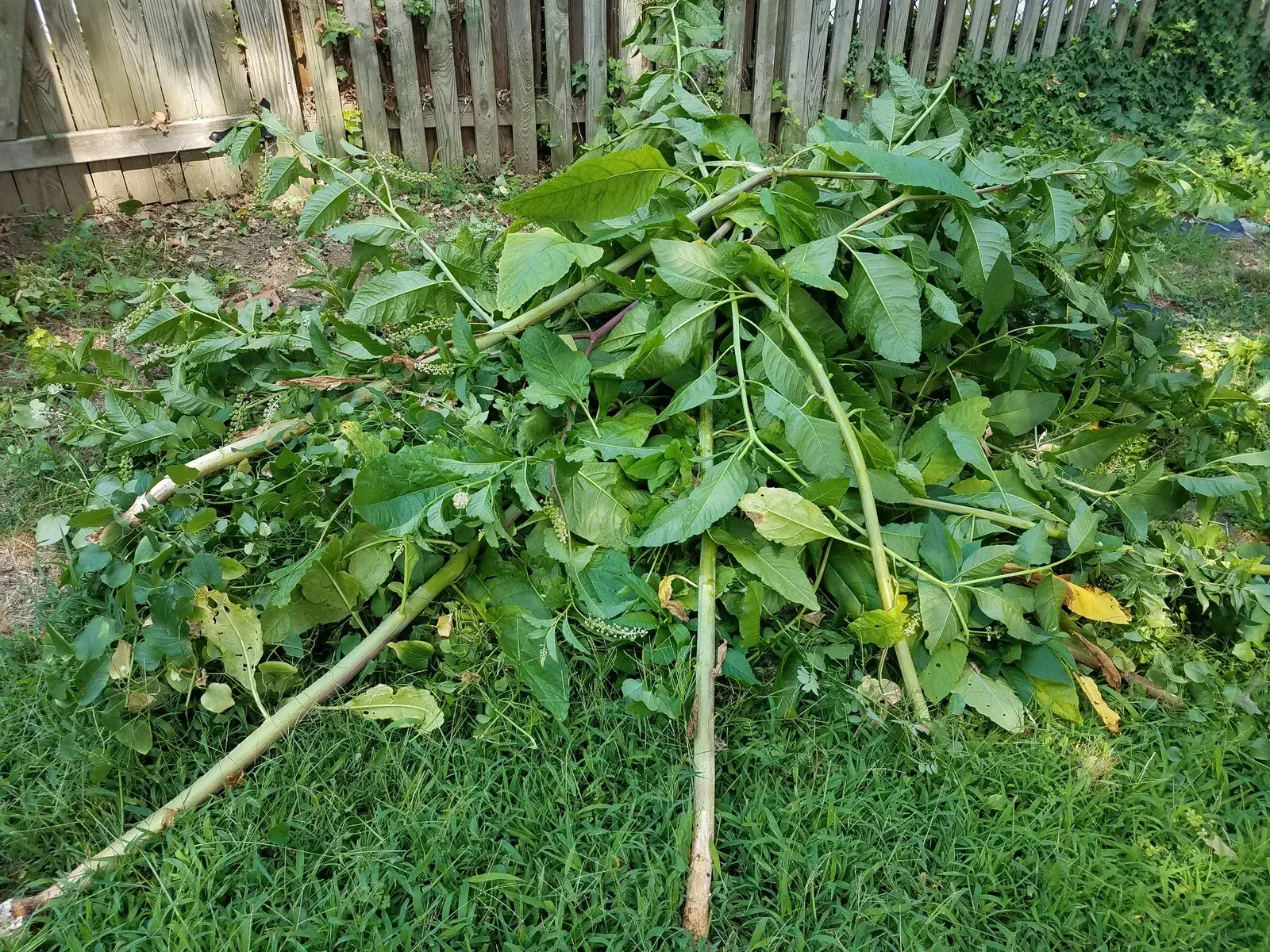 A pile of leaves and branches sitting on top of a lush green field.
