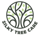 Silky Tree Care: Your Local Arborist in Byron Bay Silky Tree Care: Your Local Arborist in Byron Bay
