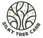Silky Tree Care: Your Local Arborist in Byron Bay Silky Tree Care: Your Local Arborist in Byron Bay