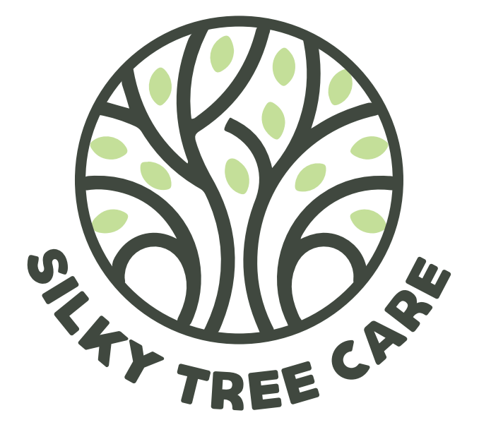 Silky Tree Care: Your Local Arborist in Byron Bay Silky Tree Care: Your Local Arborist in Byron Bay