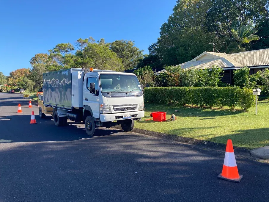 Tree Inspecting Service — Tree Services in Byron Bay