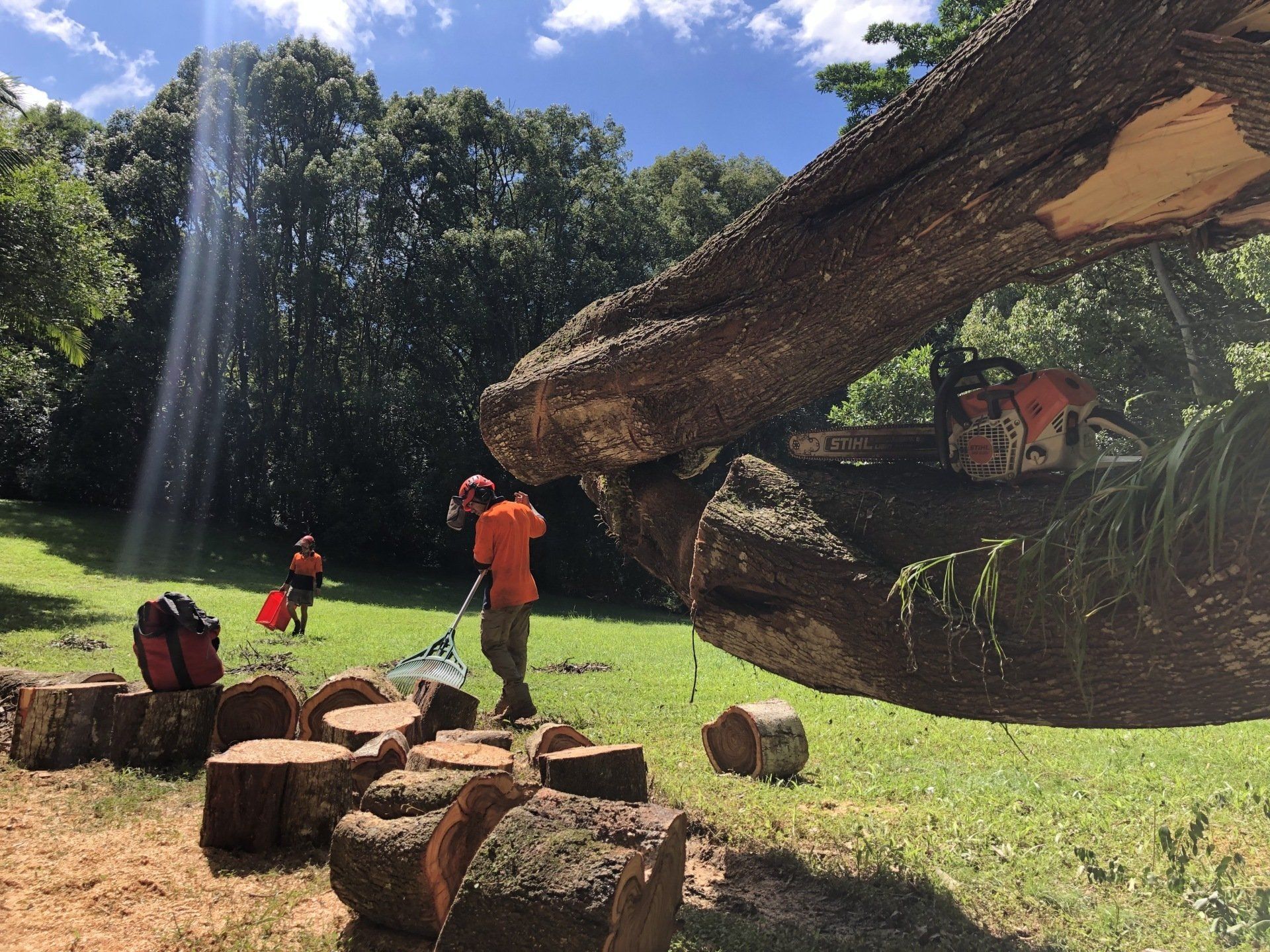 Cleaning Up After Tree Removal — Tree Services in Byron Bay