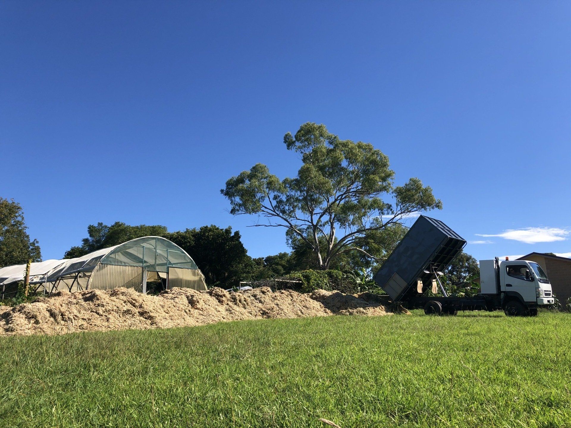 Loading Mulch — Tree Services in Byron Bay