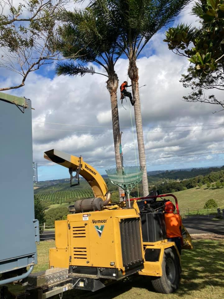 Silky Tree Care — Tree Services in Byron Bay
