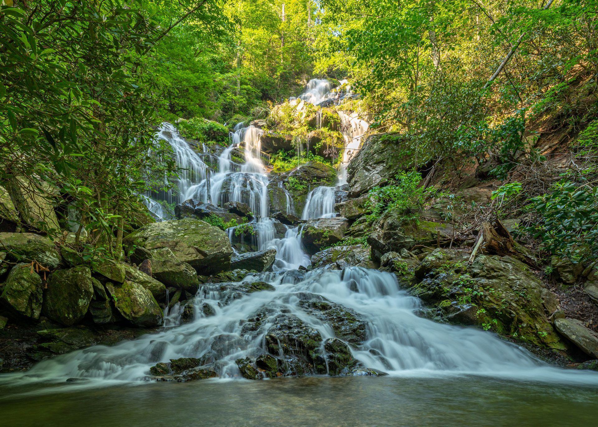 A waterfall is surrounded by trees and rocks in the forest and photo displays Catawba Falls in NC