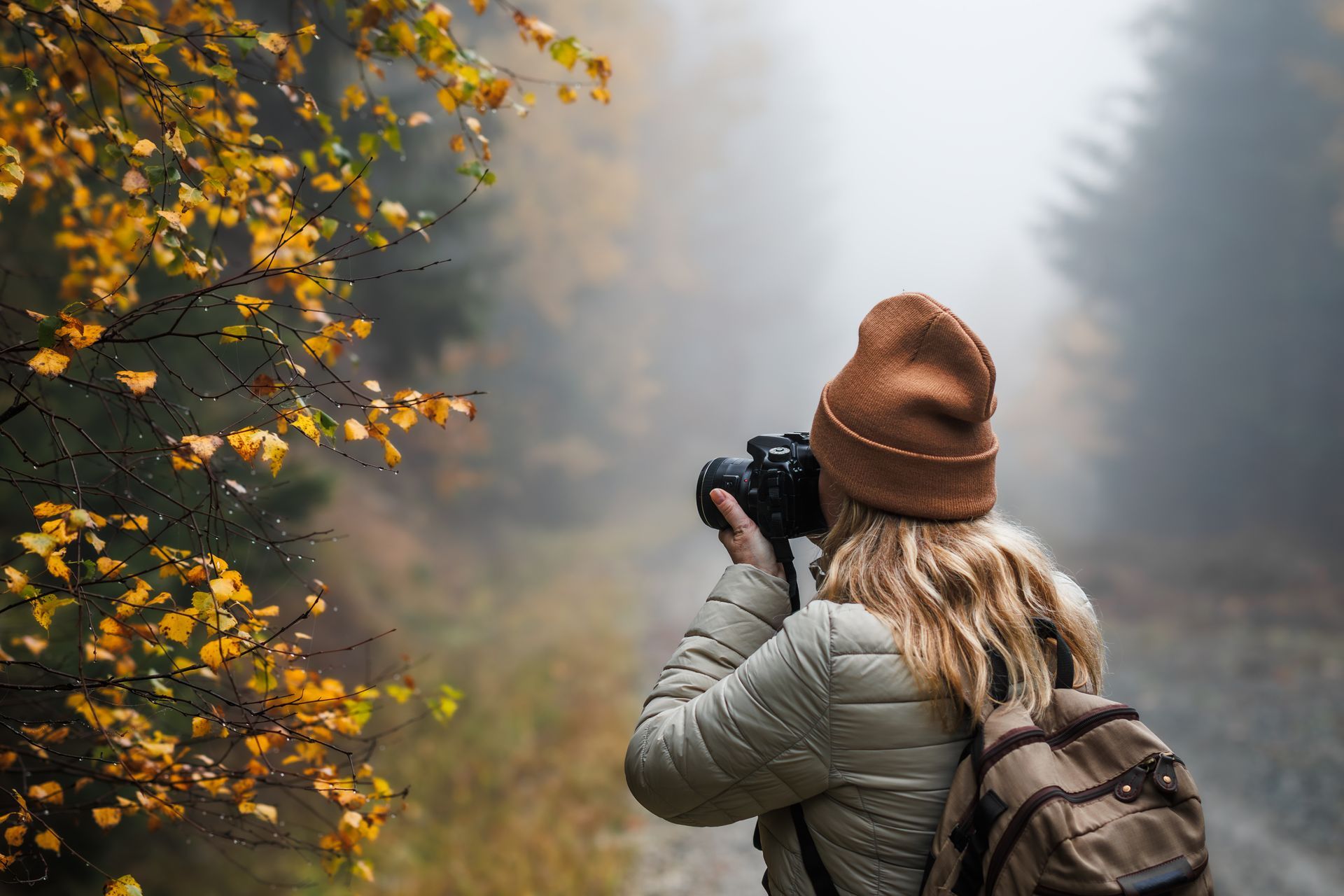 A woman is taking a picture of a tree with a camera.