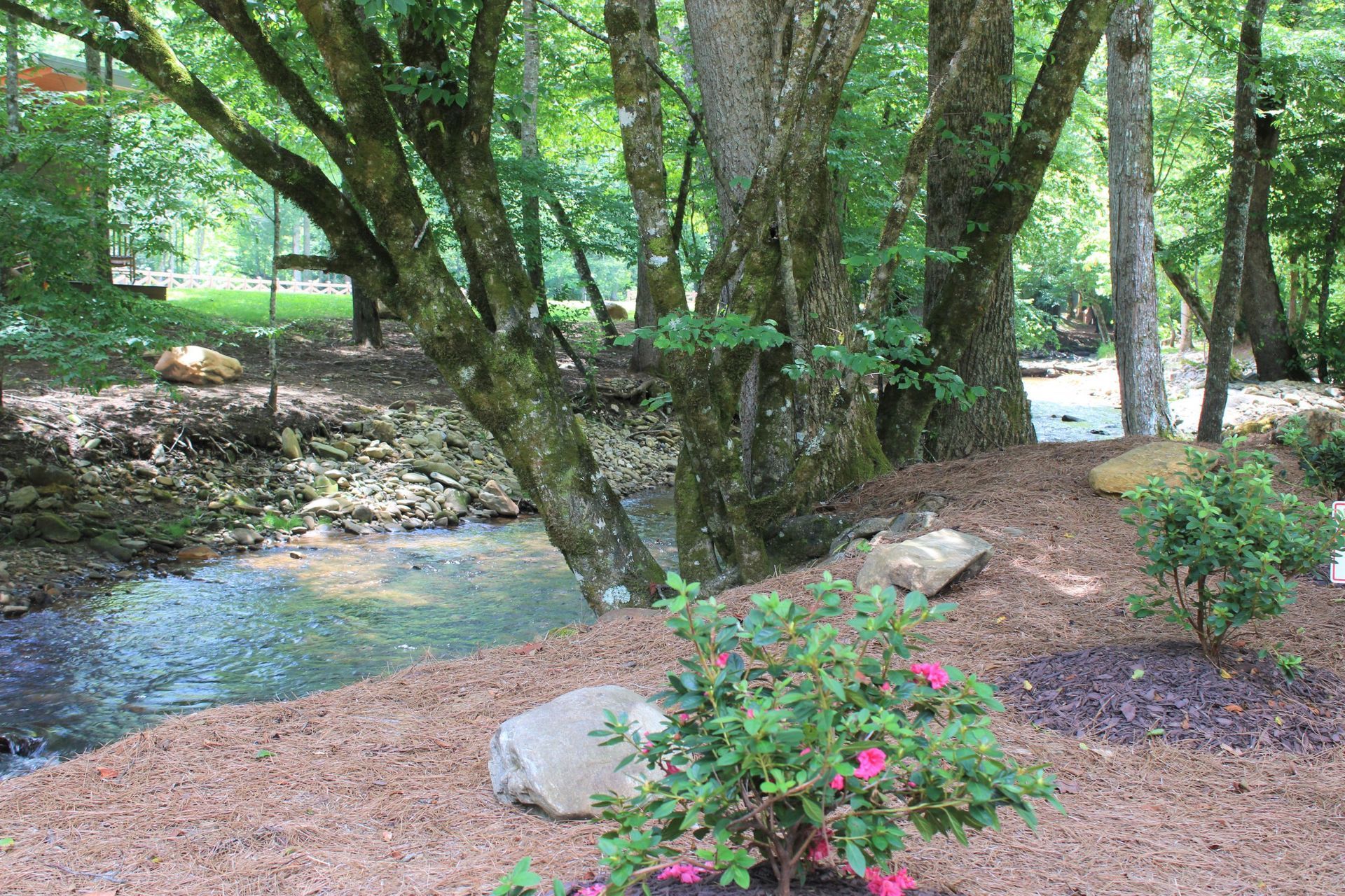 river-bank