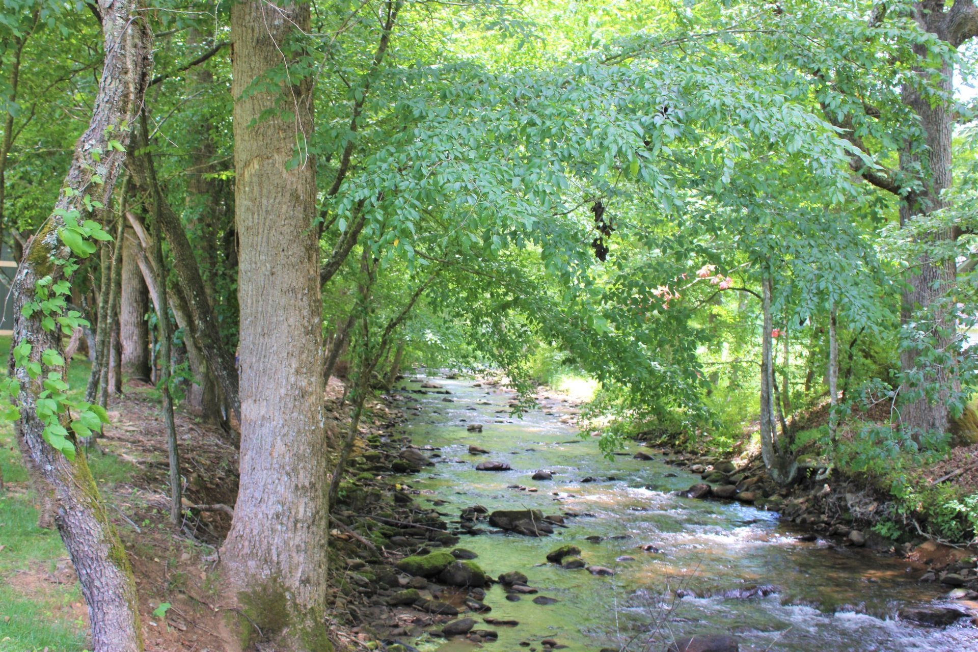 river