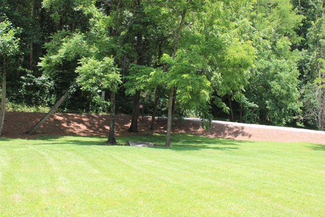 grassy-lawn