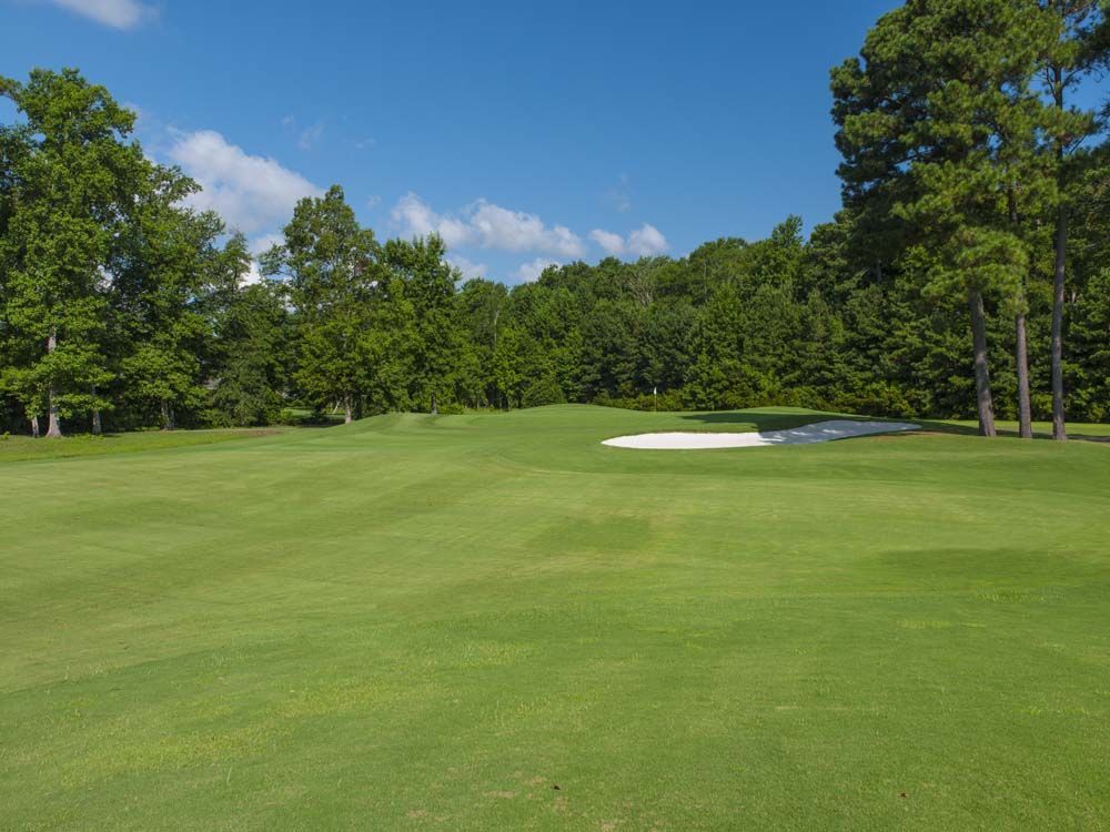 Green golf course with trees and a sand trap under a blue sky.