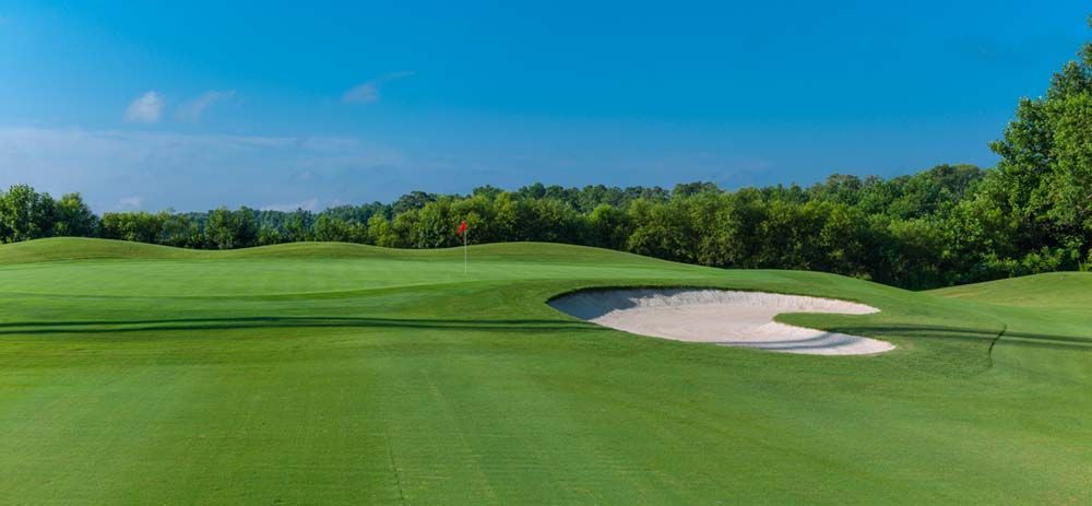 A golf course with a sand trap, green grass, and trees under a blue sky.