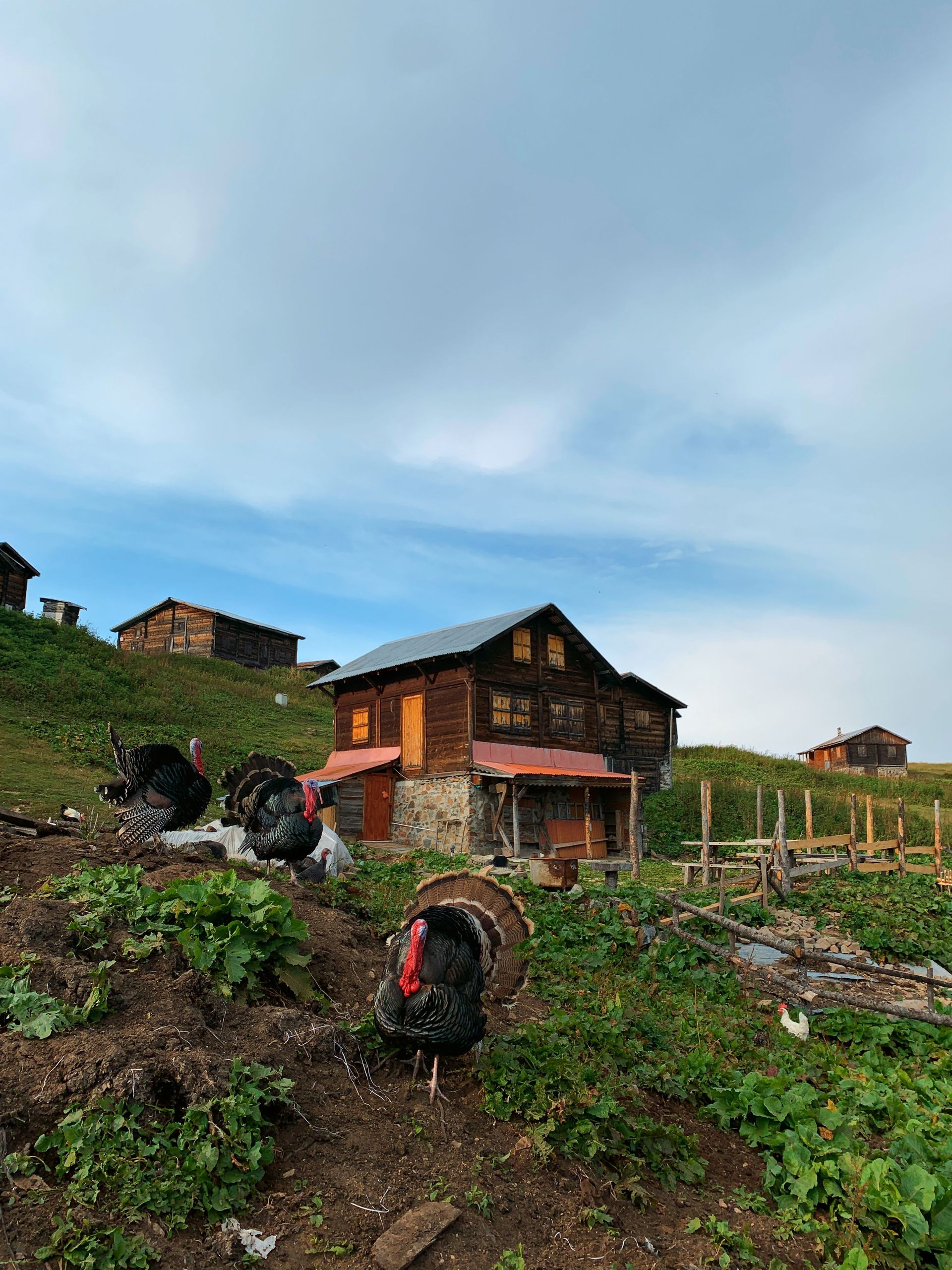 Where East meets West, Turkey invites you to discover a world of timeless wonders and unforgettable experiences. From the magical hot-air balloons of Cappadocia and the vibrant streets of Istanbul to sun-soaked Mediterranean coastlines and ancient landmarks, every corner has a story to tell.
Your Turkish adventure is waiting.